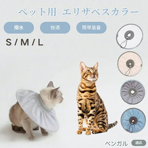 y5{|CgzxK Lp GUxXJ[ h \tg^Cv ybgpPA ی rߖh~ ybgpPAObY p Lp _炩y pi ybg PAJ