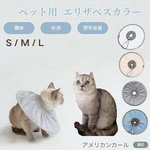 y5{|CgzAJJ[ American Curl Lp GUxXJ[ h \tg^Cv ybgpPA ی rߖh~ ybgpPAObY p Lp _炩y pi y