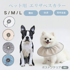 {XgeAiBoston Terrierj Lp GUxXJ[ h \tg^Cv ybgpPA ی rߖh~ ybgpPAObY p Lp _炩y pi ybg PA