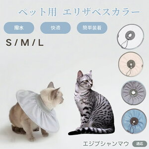 GWvV}E Egyptian Mau Lp GUxXJ[ h \tg^Cv ybgpPA ی rߖh~ ybgpPAObY p Lp _炩y pi ybg PAJ