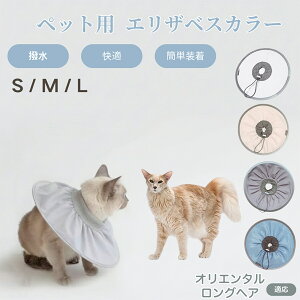 y5{|CgzIG^OwA Oriental Longhair Lp GUxXJ[ h \tg^Cv ybgpPA ی rߖh~ ybgpPAObY p Lp _炩y 