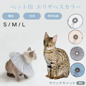 y5{|CgzToiLbg Savannah Cat Lp GUxXJ[ h \tg^Cv ybgpPA ی rߖh~ ybgpPAObY p Lp _炩y pi y