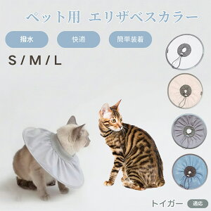 y5{|CgzgCK[ Toyger Lp GUxXJ[ h \tg^Cv ybgpPA ی rߖh~ ybgpPAObY p Lp _炩y pi ybg PA