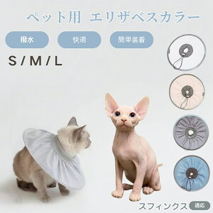 XtBNX Sphynx Lp GUxXJ[ h \tg^Cv ybgpPA ی rߖh~ ybgpPAObY p Lp _炩y pi ybg PAJ[