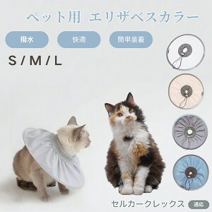 ZJ[NbNX Selkirk Rex Lp GUxXJ[ h \tg^Cv ybgpPA ی rߖh~ ybgpPAObY p Lp _炩y pi ybg PA