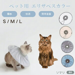 y5{|Cgz\} Somali Lp GUxXJ[ h \tg^Cv ybgpPA ی rߖh~ ybgpPAObY p Lp _炩y pi ybg PAJ