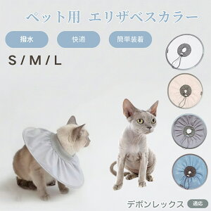 y5{|Cgzf{bNX Devon Rex Lp GUxXJ[ h \tg^Cv ybgpPA ی rߖh~ ybgpPAObY p Lp _炩y pi ybg