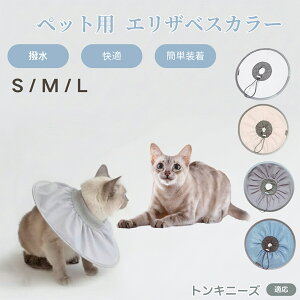 gLj[Y Tonkinese Lp GUxXJ[ h \tg^Cv ybgpPA ی rߖh~ ybgpPAObY p Lp _炩y pi ybg PAJ[