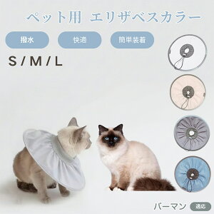 y5{|Cgzo[} Birman Lp GUxXJ[ h \tg^Cv ybgpPA ی rߖh~ ybgpPAObY p Lp _炩y pi ybg PA