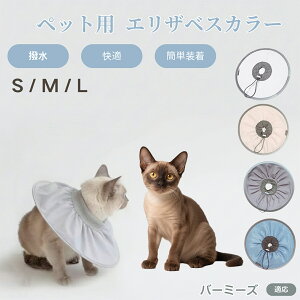 y5{|Cgzo[~[Y Burmese Lp GUxXJ[ h \tg^Cv ybgpPA ی rߖh~ ybgpPAObY p Lp _炩y pi ybg 