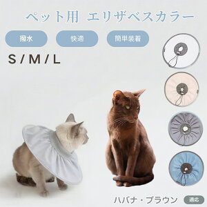 y5{|CgznoiEuE Havana Brown Lp GUxXJ[ h \tg^Cv ybgpPA ی rߖh~ ybgpPAObY p Lp _炩y pi y