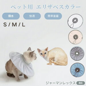 y5{|CgzW[}bNX German Rex Lp GUxXJ[ h \tg^Cv ybgpPA ی rߖh~ ybgpPAObY p Lp _炩y pi y