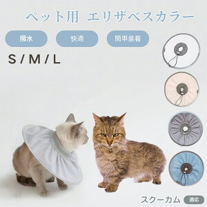 XN[J Skookum Lp GUxXJ[ h \tg^Cv ybgpPA ی rߖh~ ybgpPAObY p Lp _炩y pi ybg PAJ[