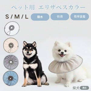 ČiShiba Inuj Lp GUxXJ[ h \tg^Cv ybgpPA ی rߖh~ ybgpPAObY p Lp _炩y pi ybg PAJ[