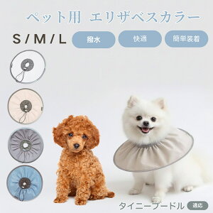 ^Cj[v[hiTiny Poodlej Lp GUxXJ[ h \tg^Cv ybgpPA ی rߖh~ ybgpPAObY p Lp _炩y pi ybg PA