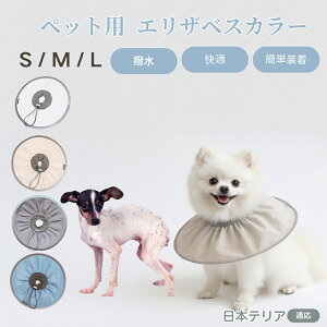 {eAiJapanese Terrierj Lp GUxXJ[ h \tg^Cv ybgpPA ی rߖh~ ybgpPAObY p Lp _炩y pi ybg PAJ