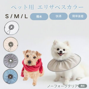 m[tH[NeAiNorfolk Terrierj Lp GUxXJ[ h \tg^Cv ybgpPA ی rߖh~ ybgpPAObY p Lp _炩y pi ybg