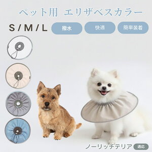 m[b`eAiNorwich Terrierj Lp GUxXJ[ h \tg^Cv ybgpPA ی rߖh~ ybgpPAObY p Lp _炩y pi ybg 