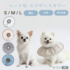 `iChihuahuaj Lp GUxXJ[ h \tg^Cv ybgpPA ی rߖh~ ybgpPAObY p Lp _炩y pi ybg PAJ[