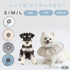 ViEU[iMiniature Schnauzerj Lp GUxXJ[ h \tg^Cv ybgpPA ی rߖh~ ybgpPAObY p Lp _炩y pi ybg P