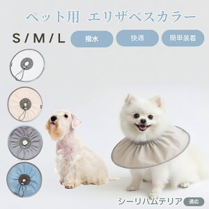 y5{|CgzV[neAiSealyham Terrierj Lp GUxXJ[ h \tg^Cv ybgpPA ی rߖh~ ybgpPAObY p Lp _炩y 