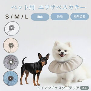 gC}`FX^[eA Lp GUxXJ[ h \tg^Cv ybgpPA ی rߖh~ ybgpPAObY p Lp _炩y pi ybg PAJ