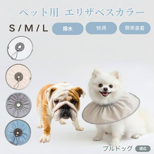 y5{|CgzuhbOiBulldogj Lp GUxXJ[ h \tg^Cv ybgpPA ی rߖh~ ybgpPAObY p Lp _炩y pi ybg