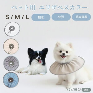 psiPapillonj Lp GUxXJ[ h \tg^Cv ybgpPA ی rߖh~ ybgpPAObY p Lp _炩y pi ybg PAJ[