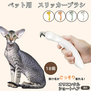 �I���G���^���V���[�g�w�A Oriental Shorthair ���L���p �y�b�g�u���V �����ю�� ���������уu���V �����v�b�V���� �R�[�� �O���[�~���O�u���V ���ъ��΍� �ыʏ��� ���p �L�p �y�b�g�������p