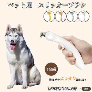 VxAEnXL[iSiberian Huskyj Lp ybguV ю уuV vbV R[ O[~OuV ъ΍ ыʏ p Lp ybgpi 