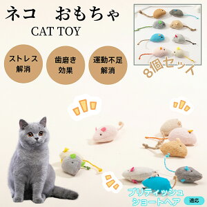 ueBbVV[gwA British Shorthair L lY~ʂ 8Zbg qL Lp gC V XgX ^s  ӂӂf L炵 Lpʂ