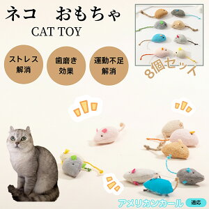 AJJ[ American Curl L lY~ʂ 8Zbg qL Lp gC V XgX ^s  ӂӂf L炵 Lpʂ ybg