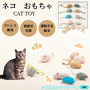 AJC[wA American Wirehair L lY~ʂ 8Zbg qL Lp gC V XgX ^s  ӂӂf L炵 Lpʂ