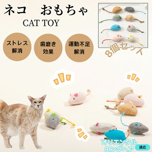 IG^OwA Oriental Longhair L lY~ʂ 8Zbg qL Lp gC V XgX ^s  ӂӂf L炵 Lpʂ