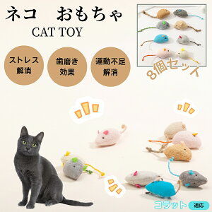 Rbg Korat L lY~ʂ 8Zbg qL Lp gC V XgX ^s  ӂӂf L炵 Lpʂ ybgObY