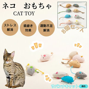 ToiLbg Savannah Cat L lY~ʂ 8Zbg qL Lp gC V XgX ^s  ӂӂf L炵 Lpʂ ybgO