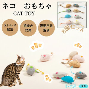 gCK[ Toyger L lY~ʂ 8Zbg qL Lp gC V XgX ^s  ӂӂf L炵 Lpʂ ybgObY