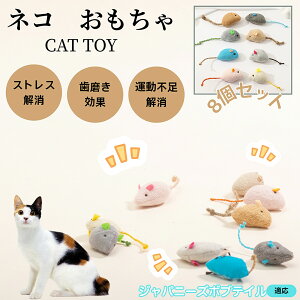 Wpj[Y{ueC L lY~ʂ 8Zbg qL Lp gC V XgX ^s  ӂӂf L炵 Lpʂ ybgOb