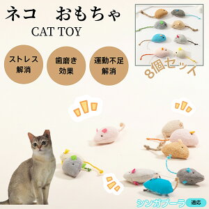 VKv[ Singapura L lY~ʂ 8Zbg qL Lp gC V XgX ^s  ӂӂf L炵 Lpʂ ybgObY