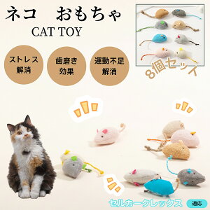 ZJ[NbNX Selkirk Rex L lY~ʂ 8Zbg qL Lp gC V XgX ^s  ӂӂf L炵 Lpʂ ybg