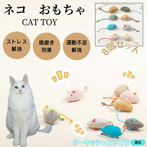 ^[LbVAS Turkish Angora L lY~ʂ 8Zbg qL Lp gC V XgX ^s  ӂӂf L炵 Lpʂ y