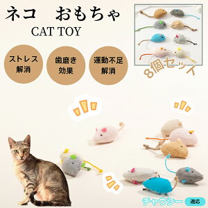 `EV[ Chausie L lY~ʂ 8Zbg qL Lp gC V XgX ^s  ӂӂf L炵 Lpʂ ybgObY