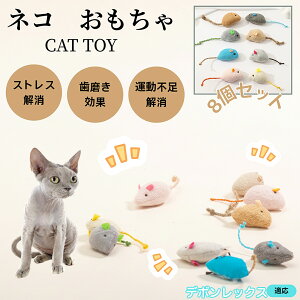 f{bNX Devon Rex L lY~ʂ 8Zbg qL Lp gC V XgX ^s  ӂӂf L炵 Lpʂ ybgObY