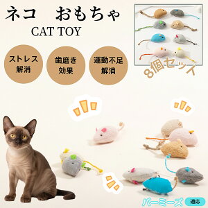 o[~[Y Burmese L lY~ʂ 8Zbg qL Lp gC V XgX ^s  ӂӂf L炵 Lpʂ ybgObY