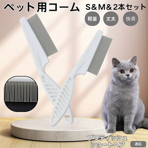 y5{|CgzueBbVV[gwA British Shorthair ybgR[ m~R[ XeX x  L p ю uV m~uV Lp O[~O R[