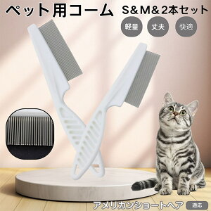 y5{|CgzAJV[gwA American Shorthair ybgR[ m~R[ XeX x  L p ю uV m~uV Lp O[~O R[ y