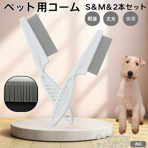 y5{|CgzC[tHbNXeAiWire Fox Terrierj ybgR[ m~R[ XeX x  L p ю uV m~uV Lp O[~O R[