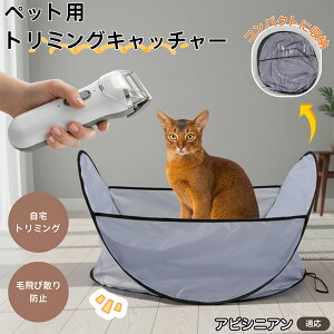 y5{|CgzArVjA Abyssinian ybgg~O}bg єюUh~ ͂t уLb`  L g~OV[g Jbgp ybgoJ΍ ё|NN ybg