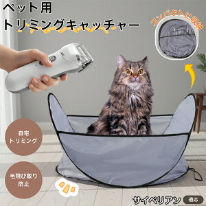 y5{|CgzTCxA Siberian ybgg~O}bg єюUh~ ͂t уLb`  L g~OV[g Jbgp ybgoJ΍ ё|NN ybgu