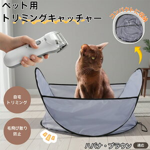 y5{|CgznoiEuE Havana Brown ybgg~O}bg єюUh~ ͂t уLb`  L g~OV[g Jbgp ybgoJ΍ ё|NN y